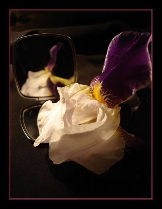 Etude 1 ... Toffee ...