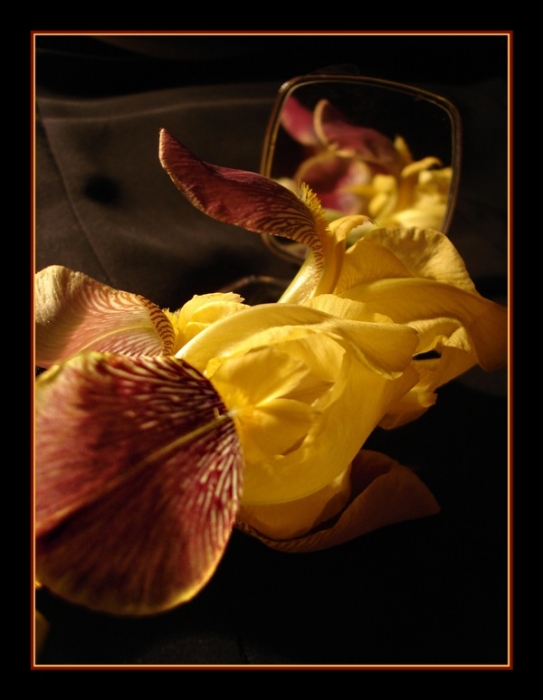 Etude 2 ... Toffee ...