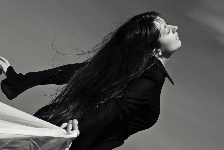 Seele gelehrt, wie man fliegt ...