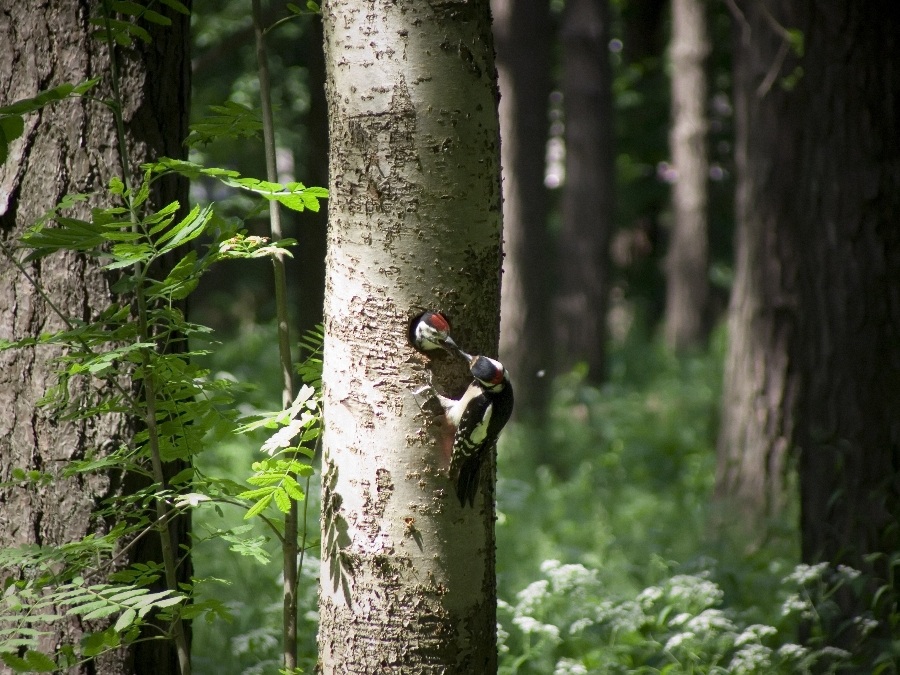 Jetzt ist nicht langweilig