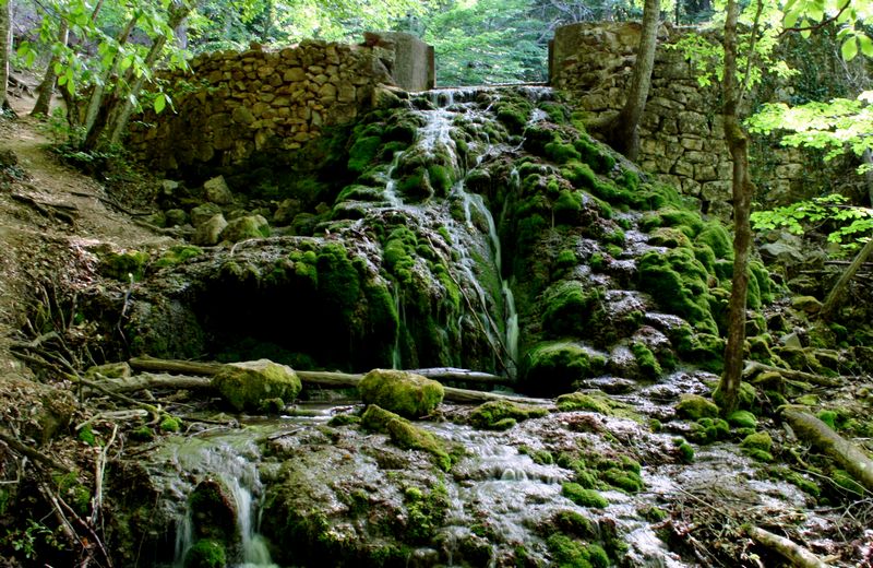 Verletzung in den alten Damm
