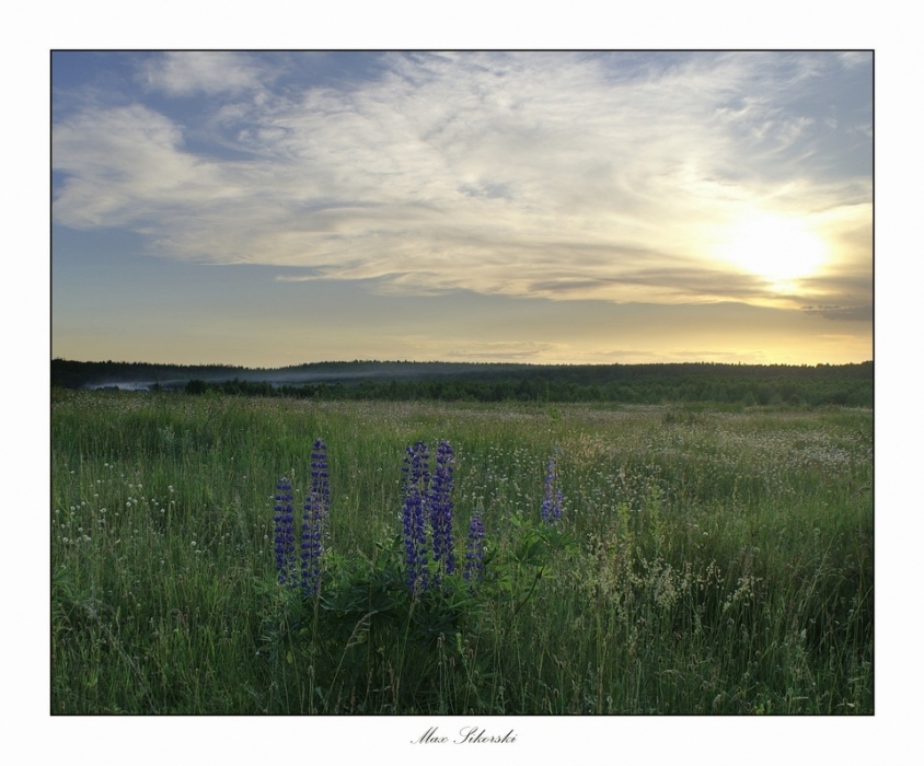 Die Weitergabe Sommertag