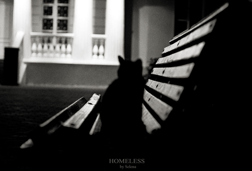 ...homeless...