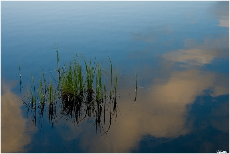 Über Gras wachsen in den Wolken