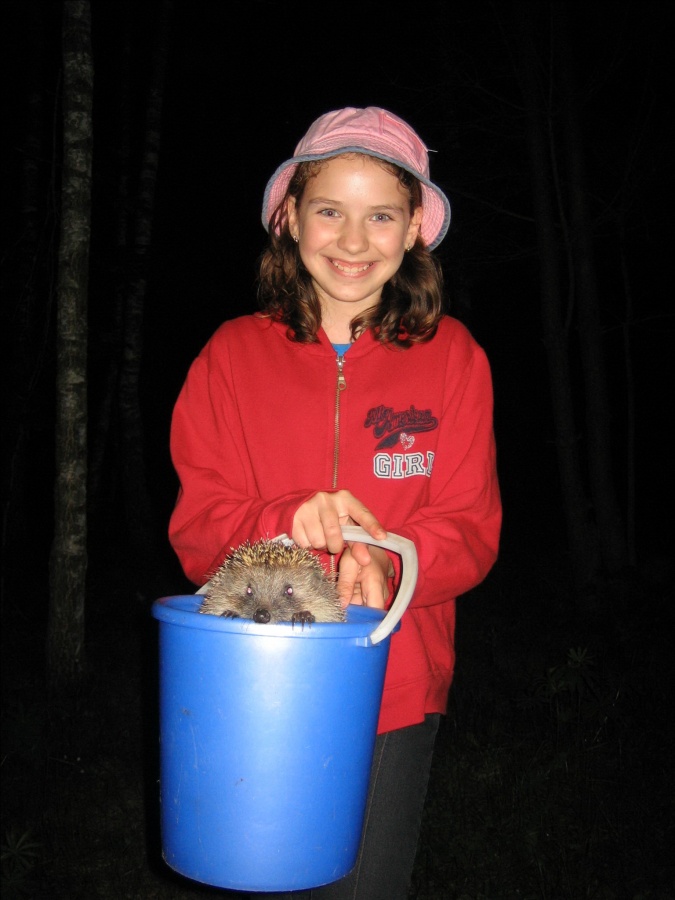 Ich möchte in die Freiheit ...