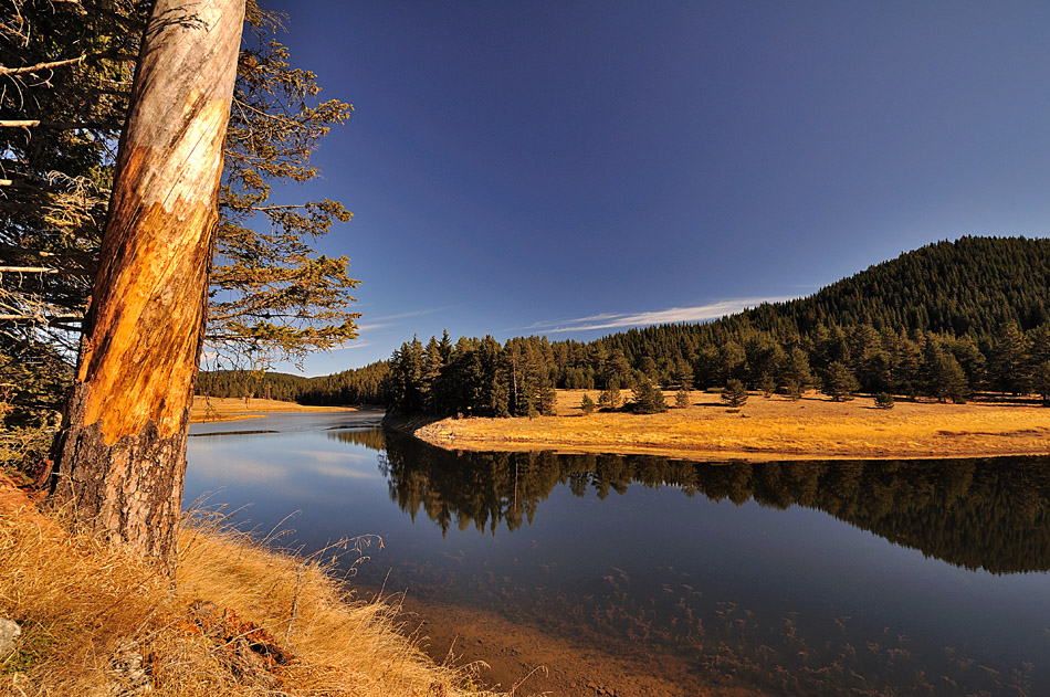 Esen in den Rhodopen:)