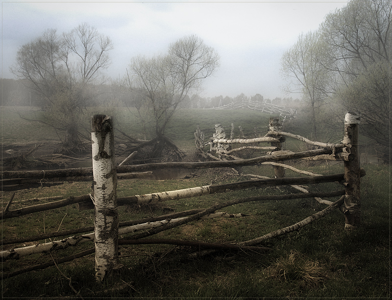 Neighborhood d.Volkovo