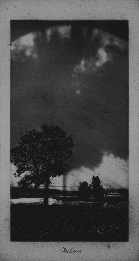 Wenn die Bäume waren groß ...