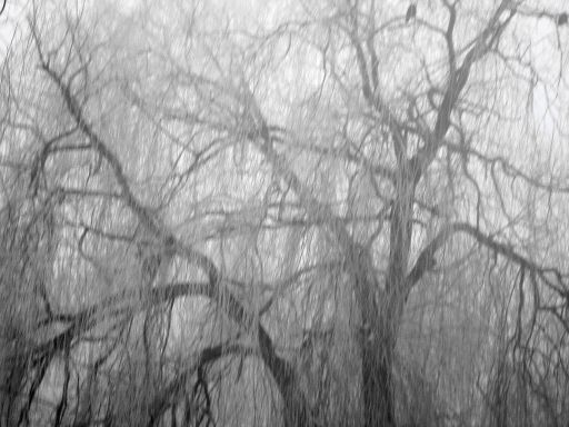 Der Tag wird sonnig ...