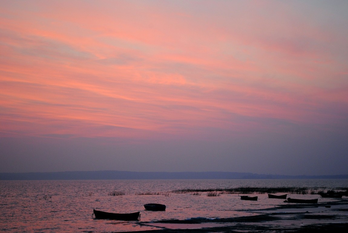 rosa Sonnenuntergang