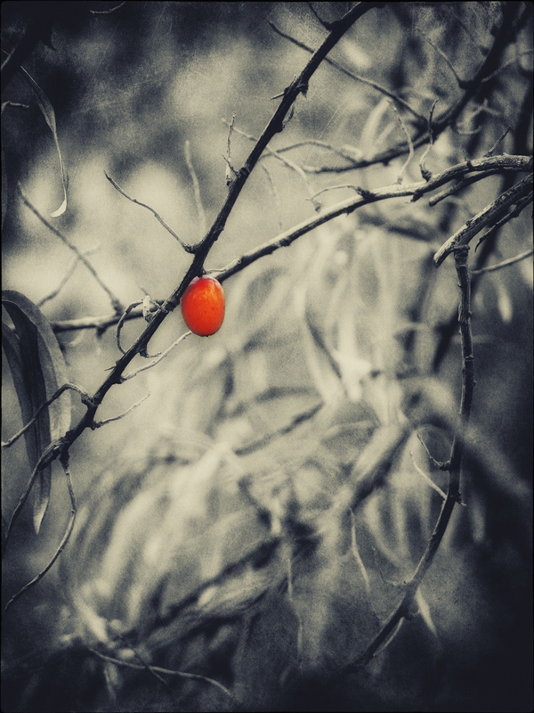 Herz in ein Vakuum ...