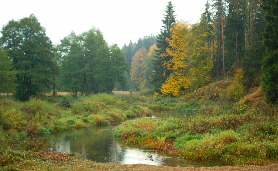 Herbst Romantik Augen Charme ..