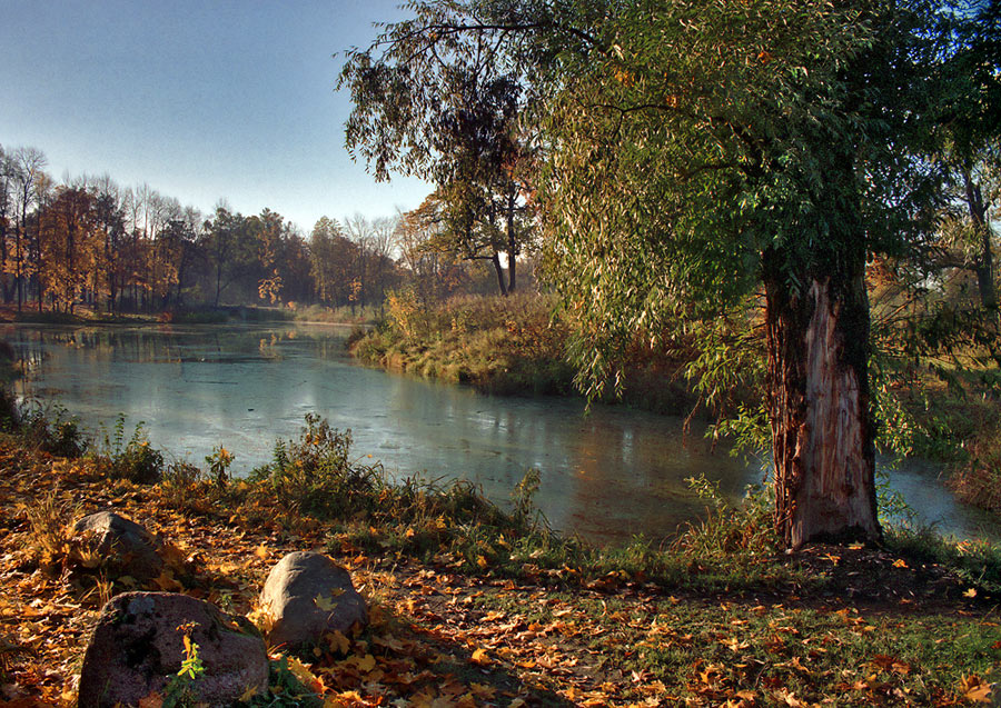 Autumn Blick auf den Teich Vittolovsky von Old Willow ...