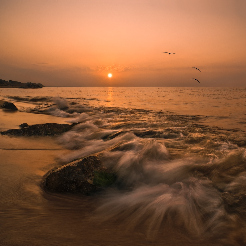 Wenn das Meer erwacht - III