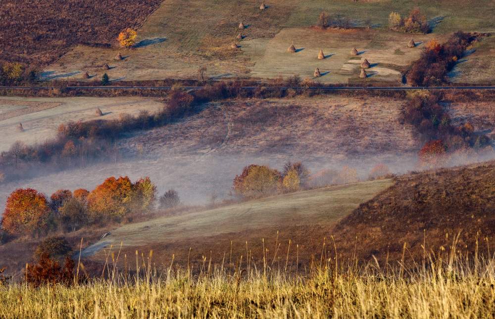 ... Über Stozhkov ...