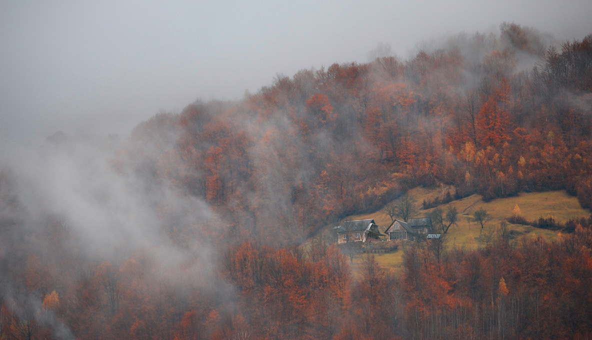 Und im Herbst brillanten Feuer ...