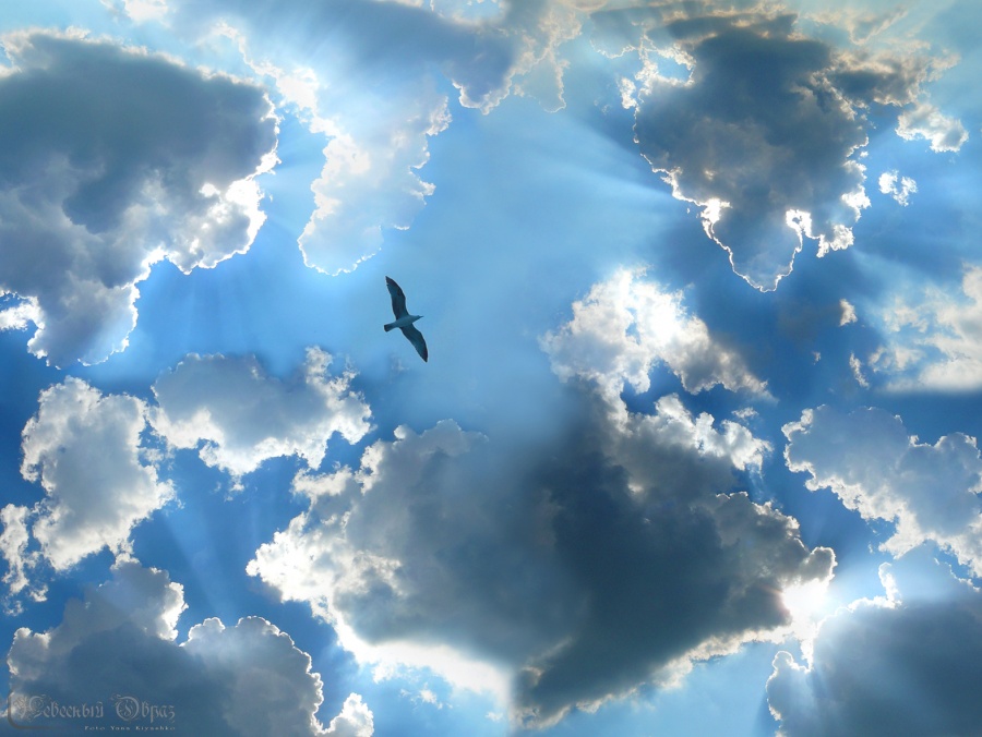 Sie leuchtete vier Sonnen