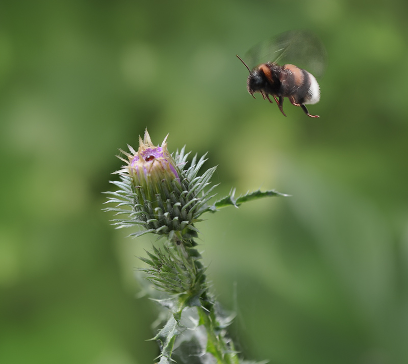 Beim Mittagessen ... : -)