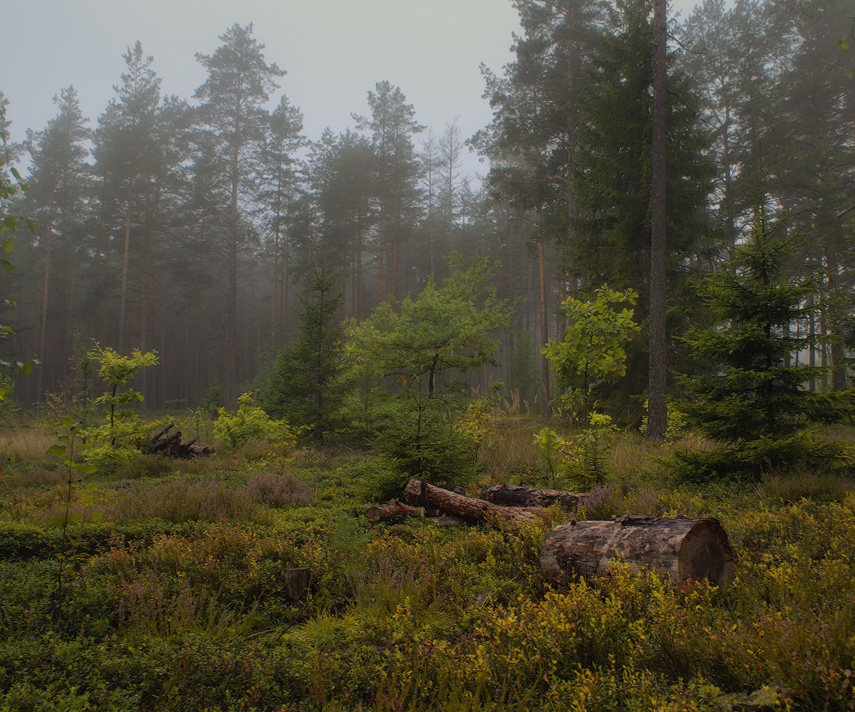 ~ Nicht schneiden, Jungs ... ~