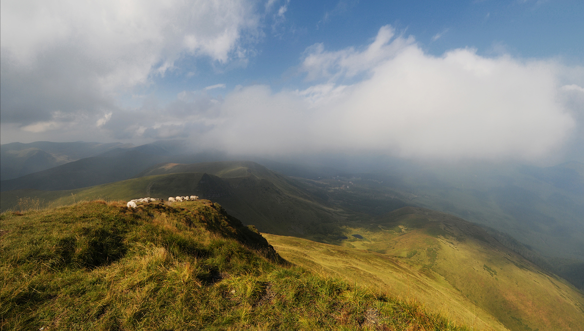 Schaf-und Cloud-... )