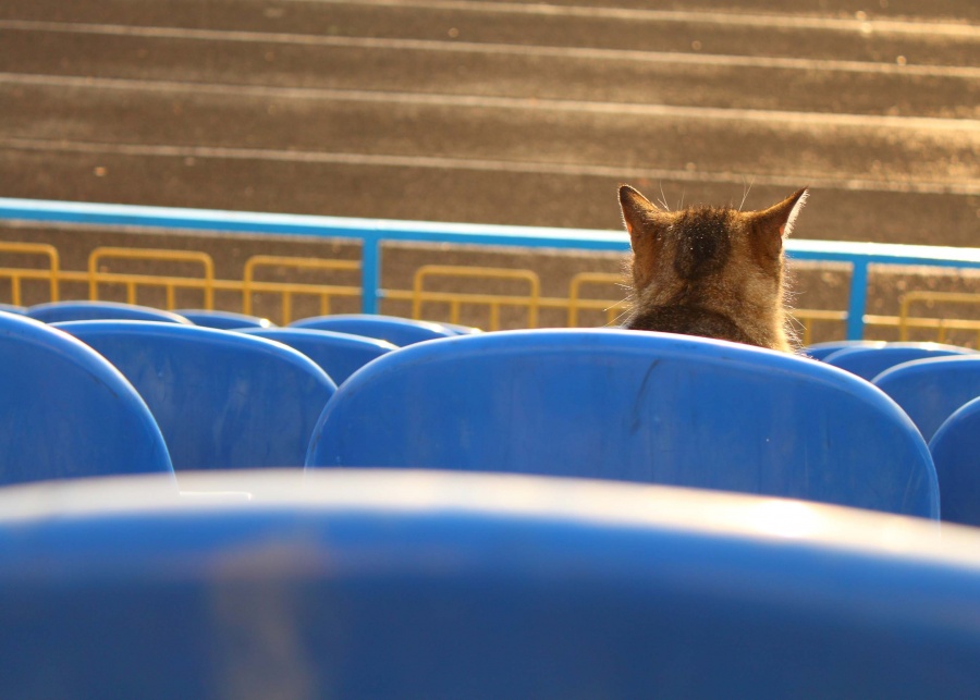 zur Euro 2012 links ....