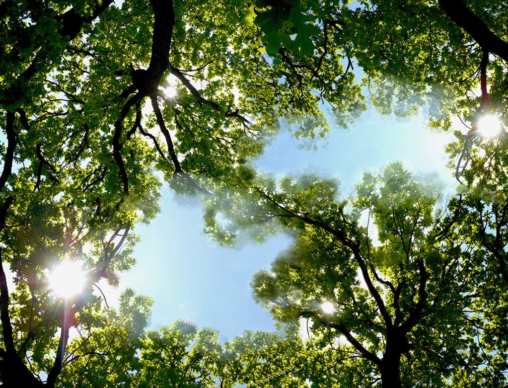 Ich leuchtete vier Sonnen