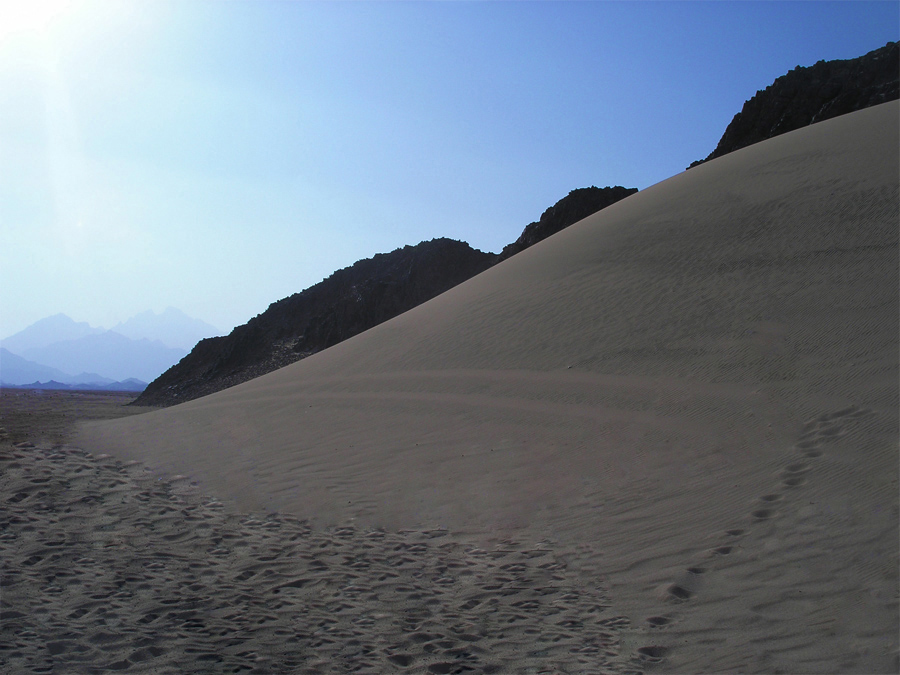 Die Spuren der unsichtbaren Bestien