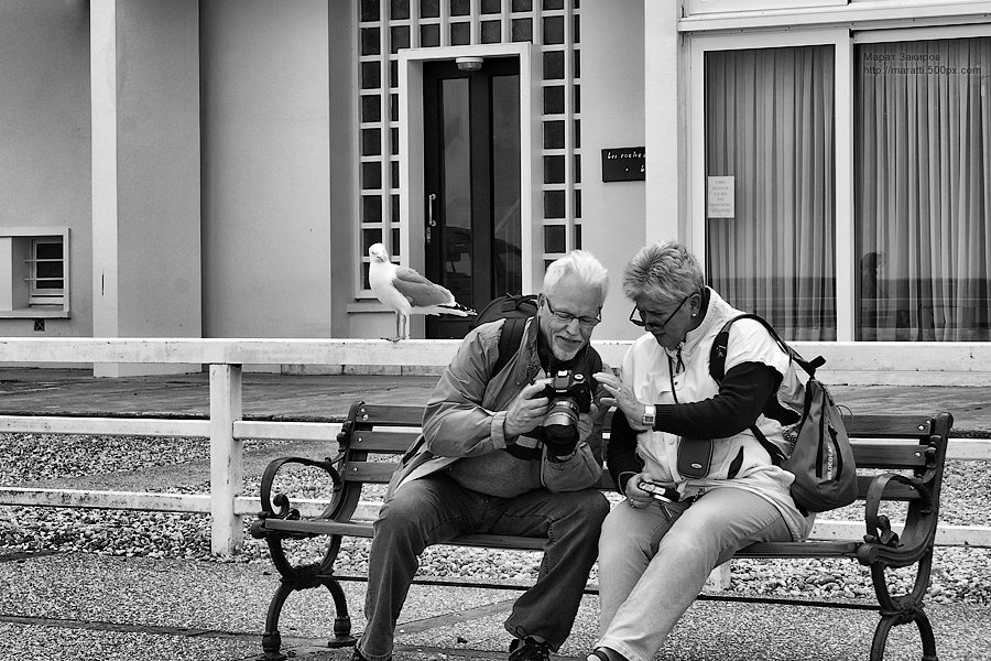 Let me see your pictures