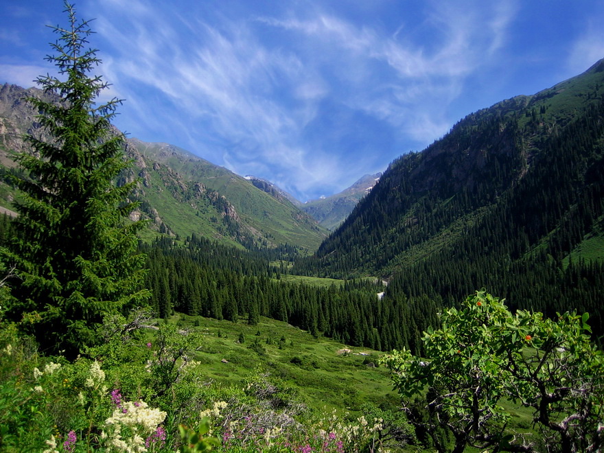 Die landschaftliche Schönheit der Junggar Alatau