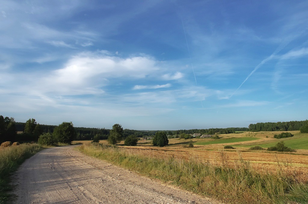 Zwischen den Wäldern