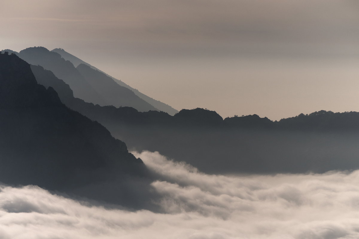 Wie eine Welle auf dem Riff