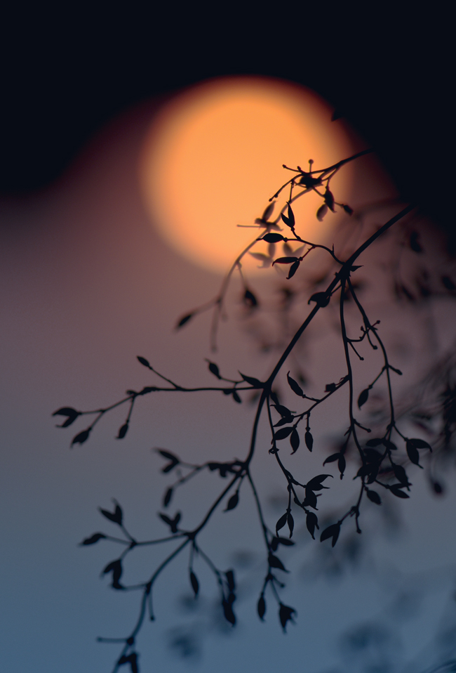 ... Musik meiner Seele ...