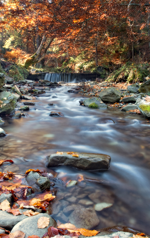 In den Karpaten Geschichte ......... ........