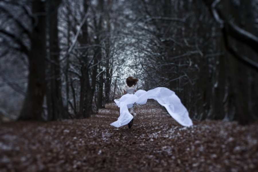 Der weiße Flügel eines Schmetterlings