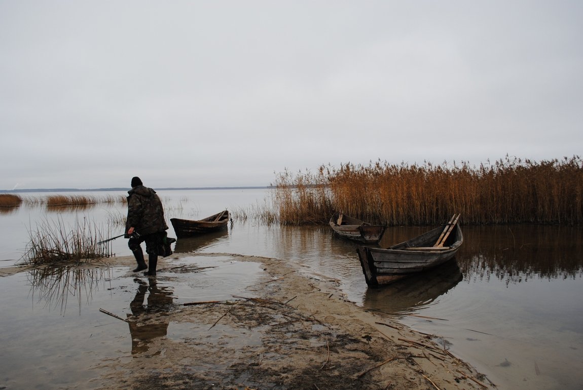 und immer wieder über die Fischer