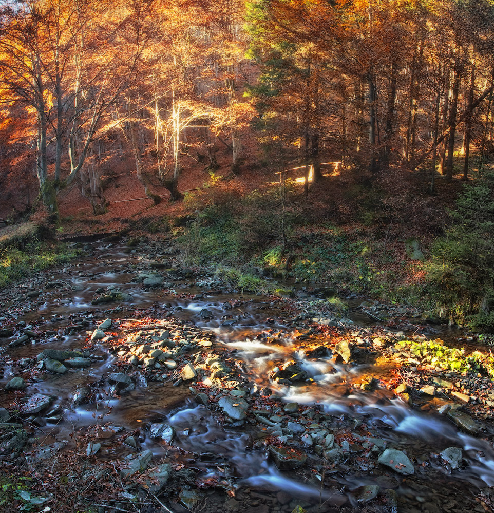 In Gold Sonnenuntergang ...... .........