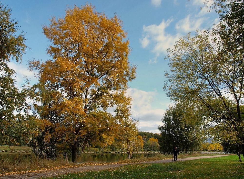 Einsamkeit - Langeweile ... (mit)