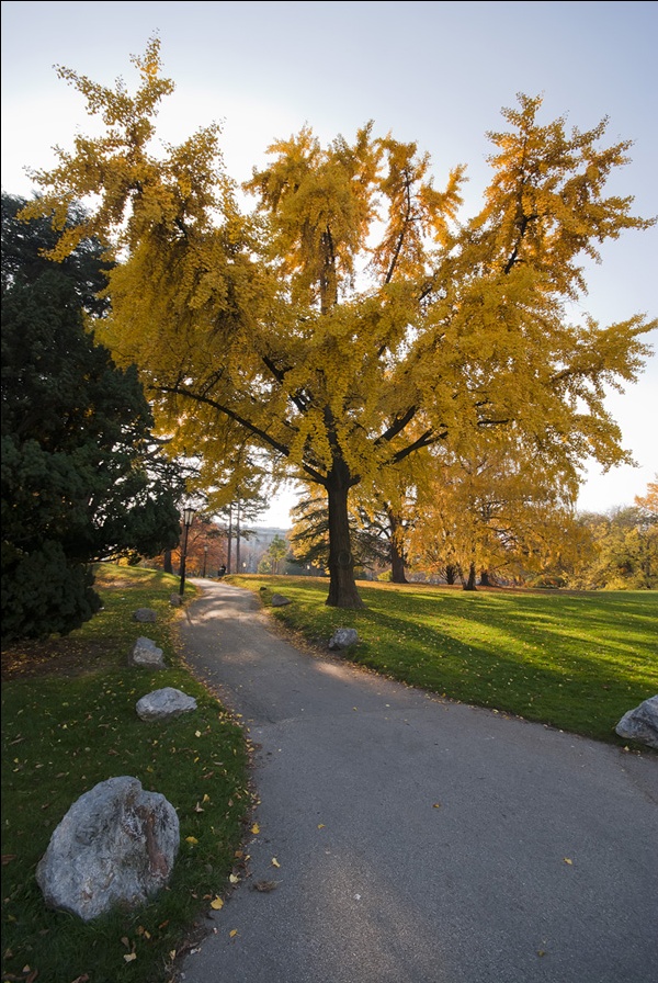 Wien Park