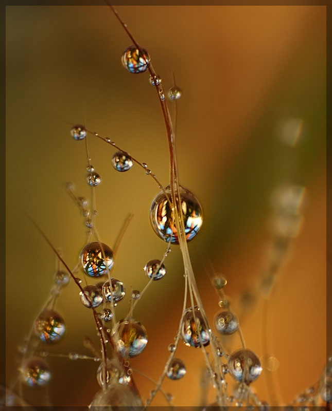 Kapitoshka zurück ....)