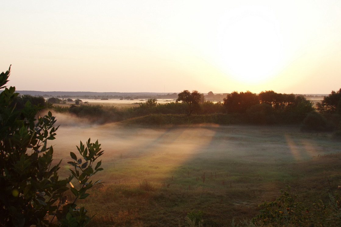 Am nächsten Morgen.