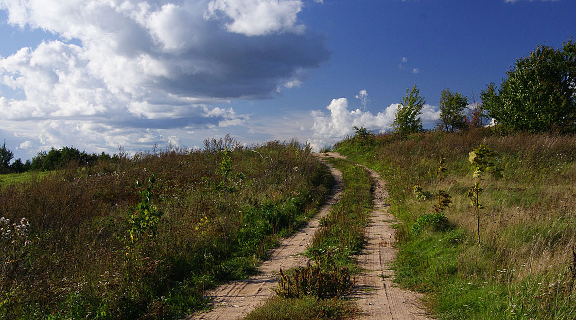 auf der Strecke und im Sommer