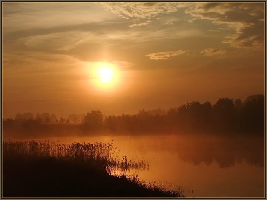 Misty Morning (Farb-Version)