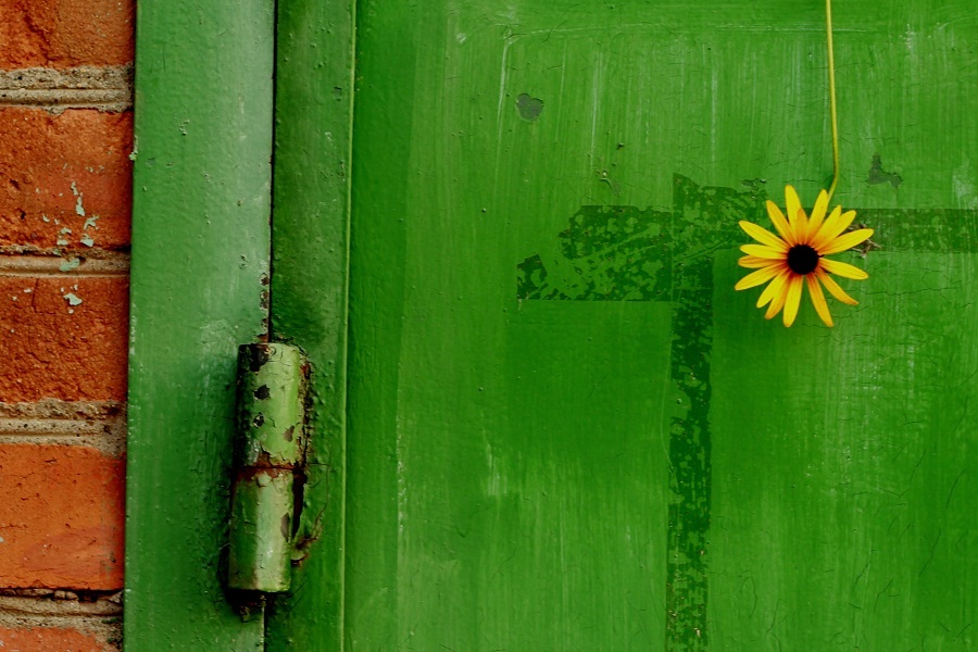 Grüße aus dem Sommer