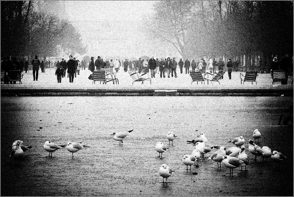 Aus dem Leben der Freizeit