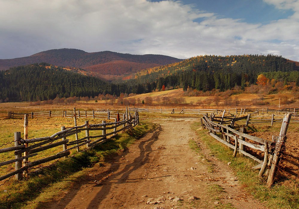 Carpathian Straßenrand