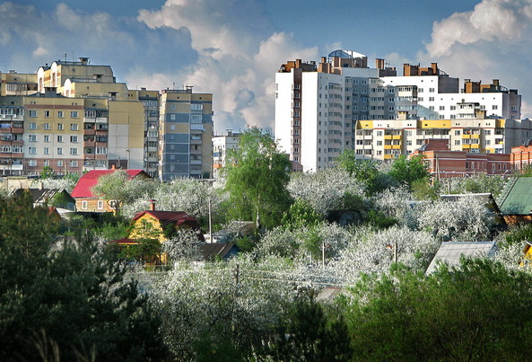Dorf Meinung. Ich erinnerte mich an ....