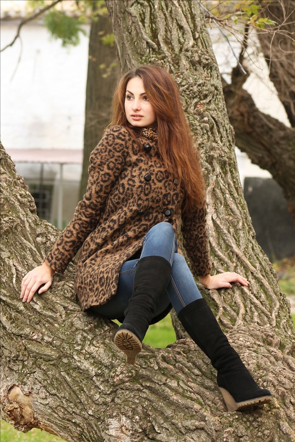 Ich bin in einem Baum sitzen