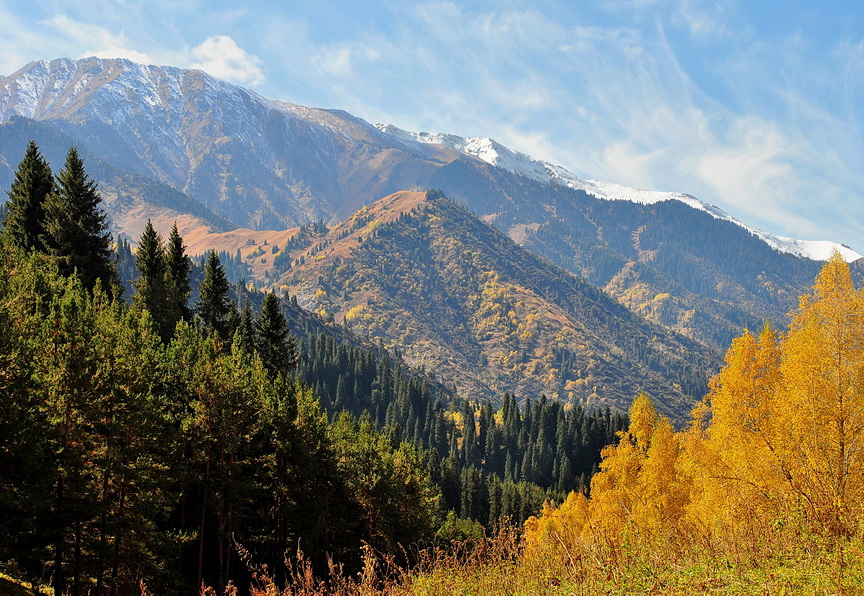 Einzigartige Farben des Herbstes