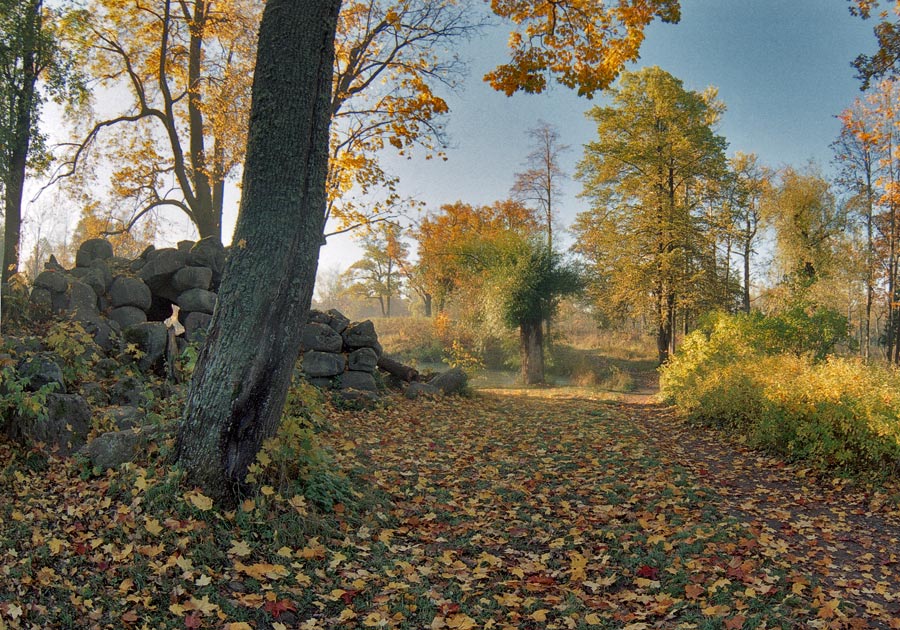 Autumn Blick auf die Altstadt Willow Pond in Vittolovskogo. : -)