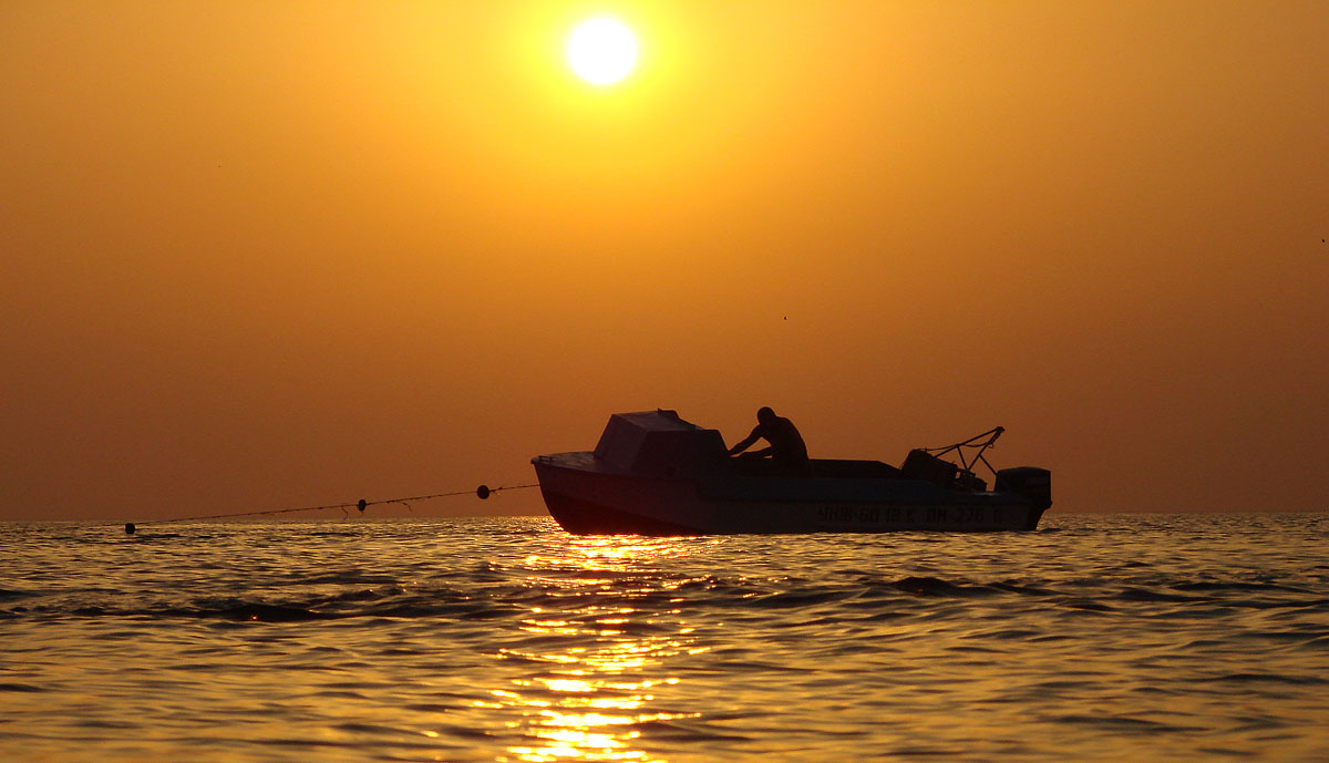 Lee sagte der alte Mann einen Goldfisch,,,